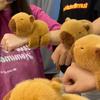 Animal Capybara Clap Circle Toys Slap Snap Wrap Wristband Bracelet Capybara Plush Hand Ring Fun Pop Circles Children Gift