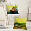 Singer L-Louis T-Tomlinson How Did I Get Here Pillow Case Suitable For Bedrooms Living Rooms Cars Home Decoration