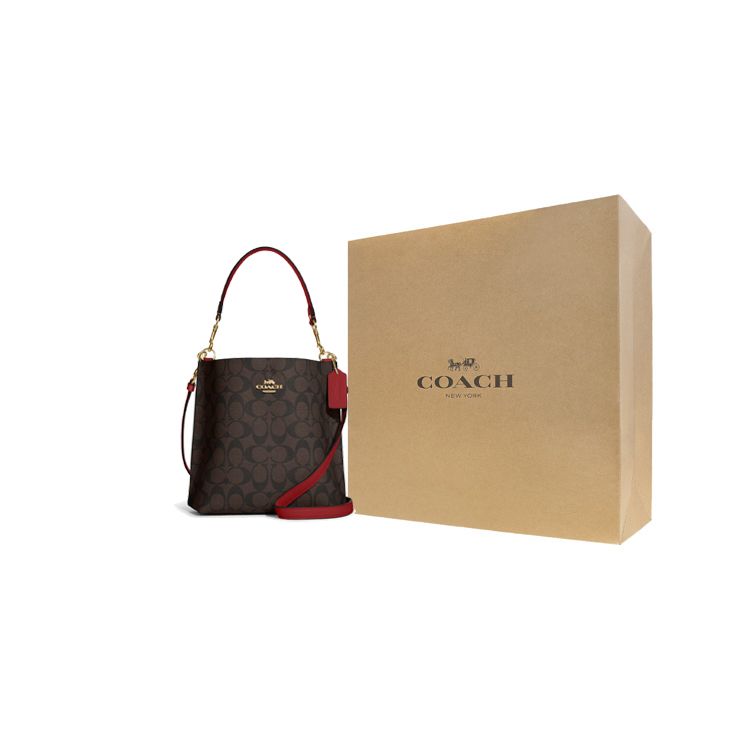 Coach Mollie Classic Logo Print Bucket Bag With Detachable Shoulder Strap Women Handbags Brown CA582-IMRVQ