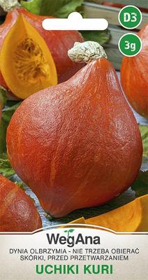 Giant Pumpkin Uchiki Kuri 3g Zucchini Pumpkin Seeds -