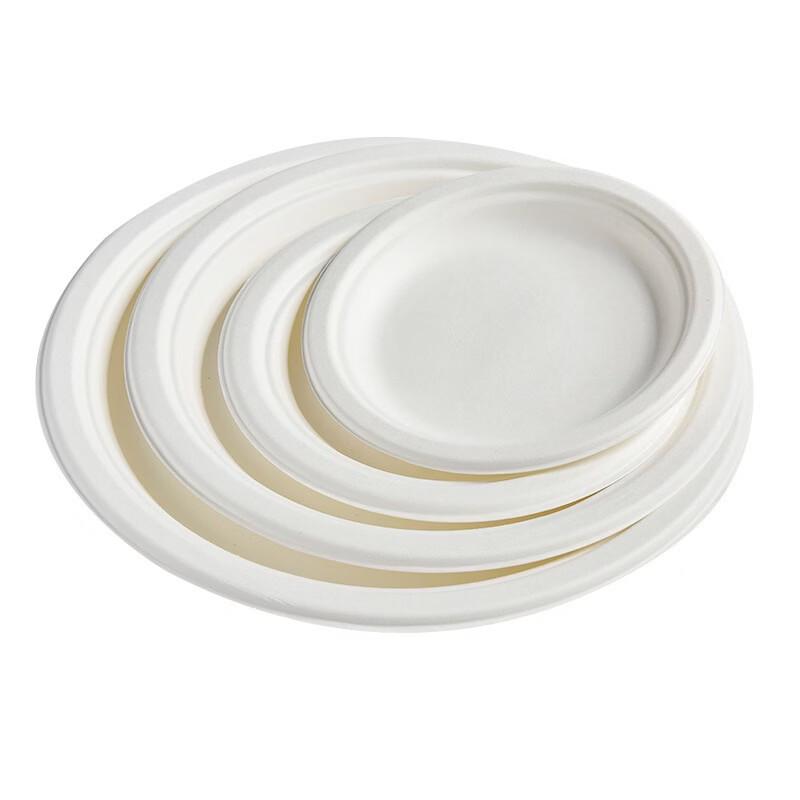 

OIMG Sugarcane Pulp 10-inch Disposable Plates (40-Count)