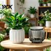 Ghiveci Durabil cu Udare Automată pentru Plante de Interior, Plantator din Plastic cu Găuri de Drenaj Suport Ceramic, Ghivece Mici pentru Flori Plante de Casă, Violetă Africană,