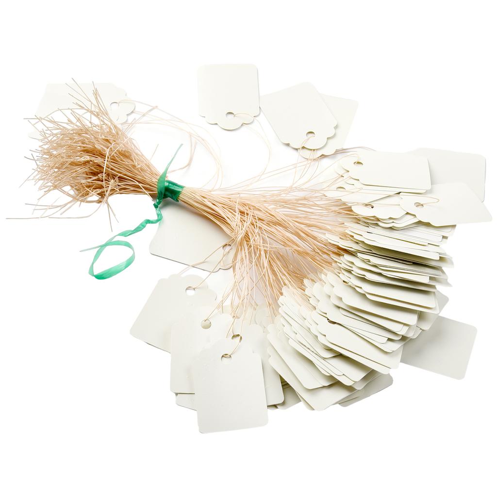 Stylish Plastic Hanging Tags for Gardening Plant Pack of 100 Waterproof Labels