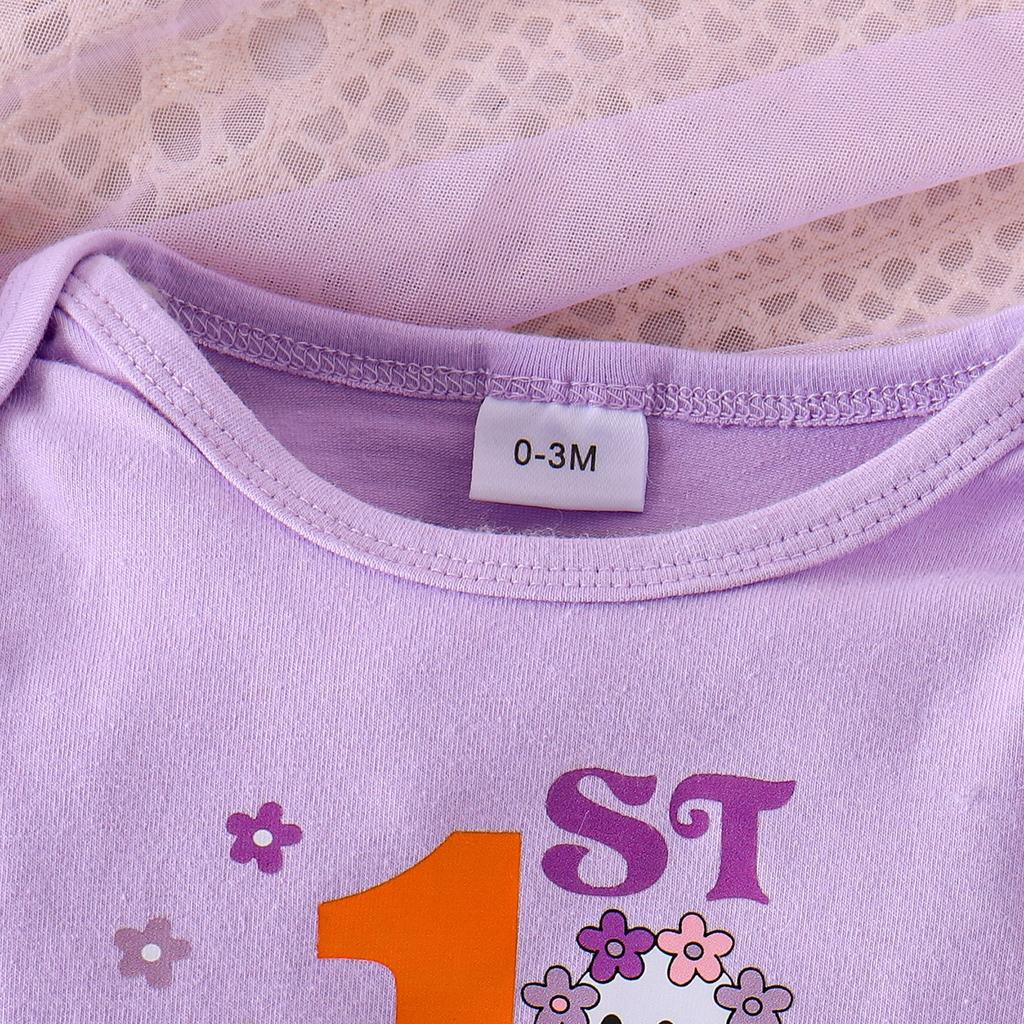 Infant Toddler Long-Sleeve Romper & Skirt Set