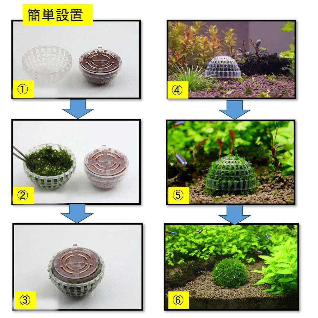 ST TS Moss Balls, Moss Domes, Willow Moss, Aquatic Plants, Moss Mats, Plant Holders, Plant Cultivation (5)