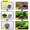 ST TS Moss Balls, Moss Domes, Willow Moss, Aquatic Plants, Moss Mats, Plant Holders, Plant Cultivation (5)