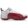 Baskets Unisexe Air Jordan 12 Low Golf Cherry Blanc Argent Métallisé Rouge Varsity DH4120-161