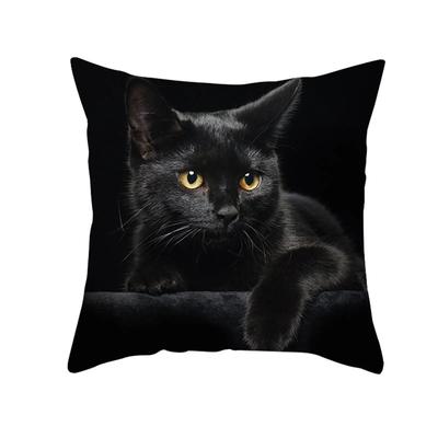 Black Cat Pillowcase Cartoon Funny Pictures Printed Cushion Cover Kids Room Coffee  Decoration