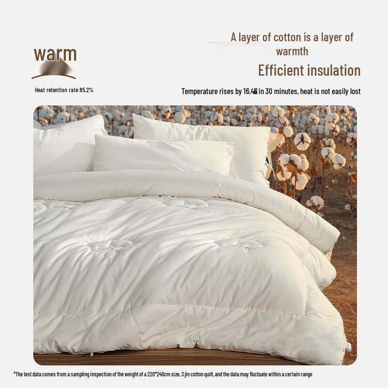 Mercury Home Textiles Premium Xinjiang Cotton Quilt