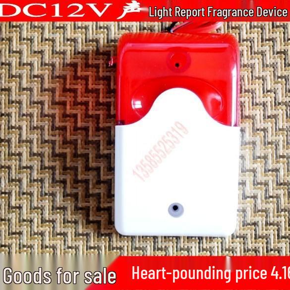 12V Flashing Siren with Light and Sound Alarm