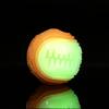 Glow in the Dark Monster Teeth Dog Chew Ball Durable Pet Toy