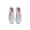 Air Zoom Pegasus 39 'Platinum Tint Light Crimson' DH4071-009