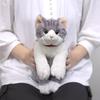 Sunlemon Knee Cat Plush Toy White 13x36x15cm Cute Animal Stuffed Cat P-7812