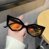 Fashionable Cat Eye Sunglasses for Women Small Frame Tortoiseshell Design Live Broadcast Hip Hop Style Sun Glasses
