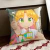 Cute Ruri Rocks Cushion Cover Reversible Soft Durable Pillow Cover Home  Car MultiScene Use for Daily Comfort