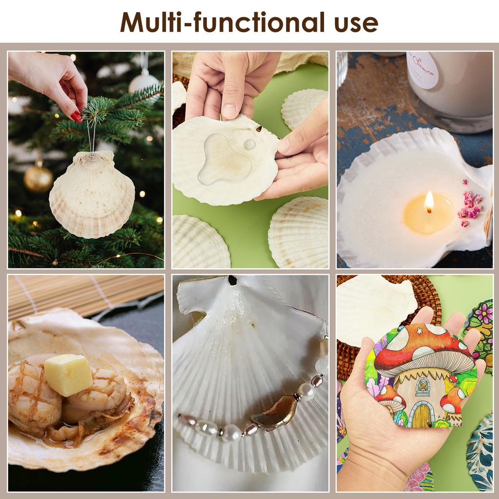 8/60 ks Přírodních mušlí hřebenatek 4-5 palců pro DIY malířské projekty Pobřežní řemesla Dekorace s plážovou tématikou Dekorace do akvária