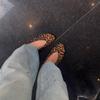Retro leopard print light mouth single shoes women's 2026 new casual round head comfortable flat bottom ballet Mary Jane