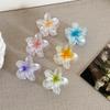 Transparente Eierblüten-Klauenklammer für Damen, Temperament, vielseitige High-End-Haarspange mit Farbverlauf, Kopfbedeckung für Mädchen mit Haifisch-Clip