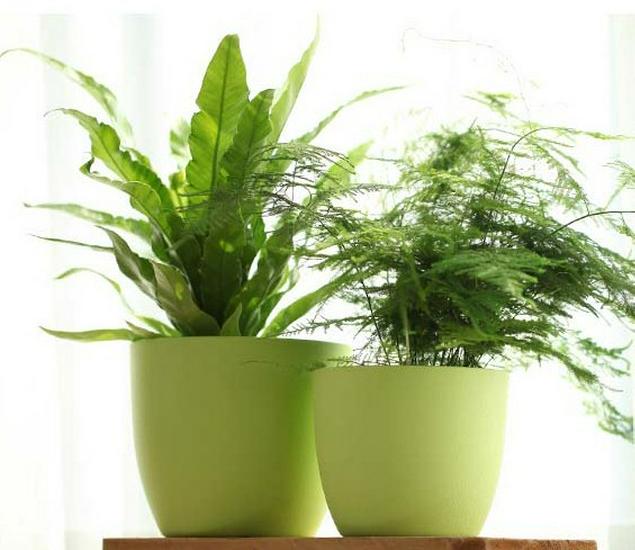 Meileke Colorful Self-Watering Resin Flower Pot - Free Shipping
