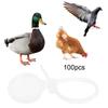 100PCS PP Anti Falling Durable Good Toughness Bird Foot Ring with Cover for Chickens Ducks Geese Livestock Farm