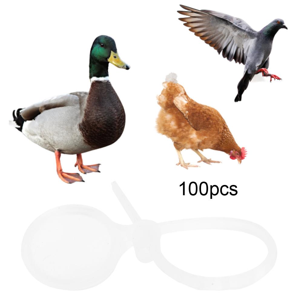 100PCS PP Anti Falling Durable Good Toughness Bird Foot Ring with Cover for Chickens Ducks Geese Livestock Farm