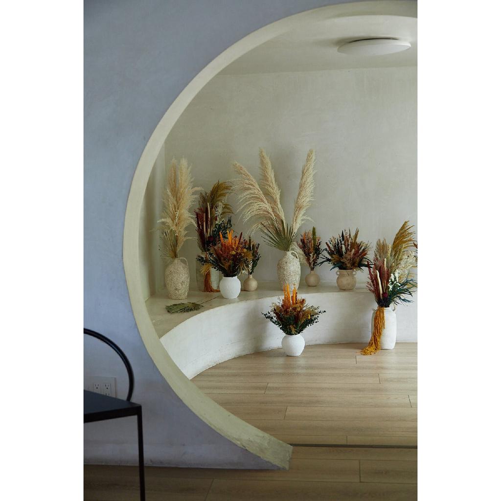 Große importierte Pampas mit 2 Zweigen und fusselfreiem, flauschigem Haar