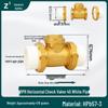 Brass Check Valve: PPR 20 4-point, 25 6-point, 1 Inch 32 Hot Melt Horizontal One-way Anti-backflow Water Pipe.