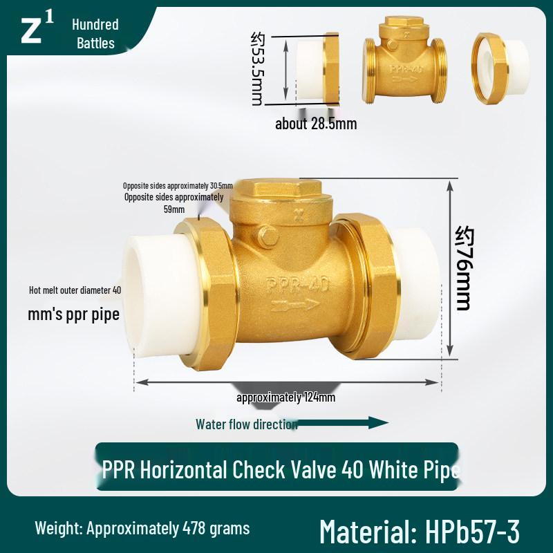 Brass Check Valve: PPR 20 4-point, 25 6-point, 1 Inch 32 Hot Melt Horizontal One-way Anti-backflow Water Pipe.