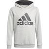 Kids Sweatshirts Hooded Moderate GN4019