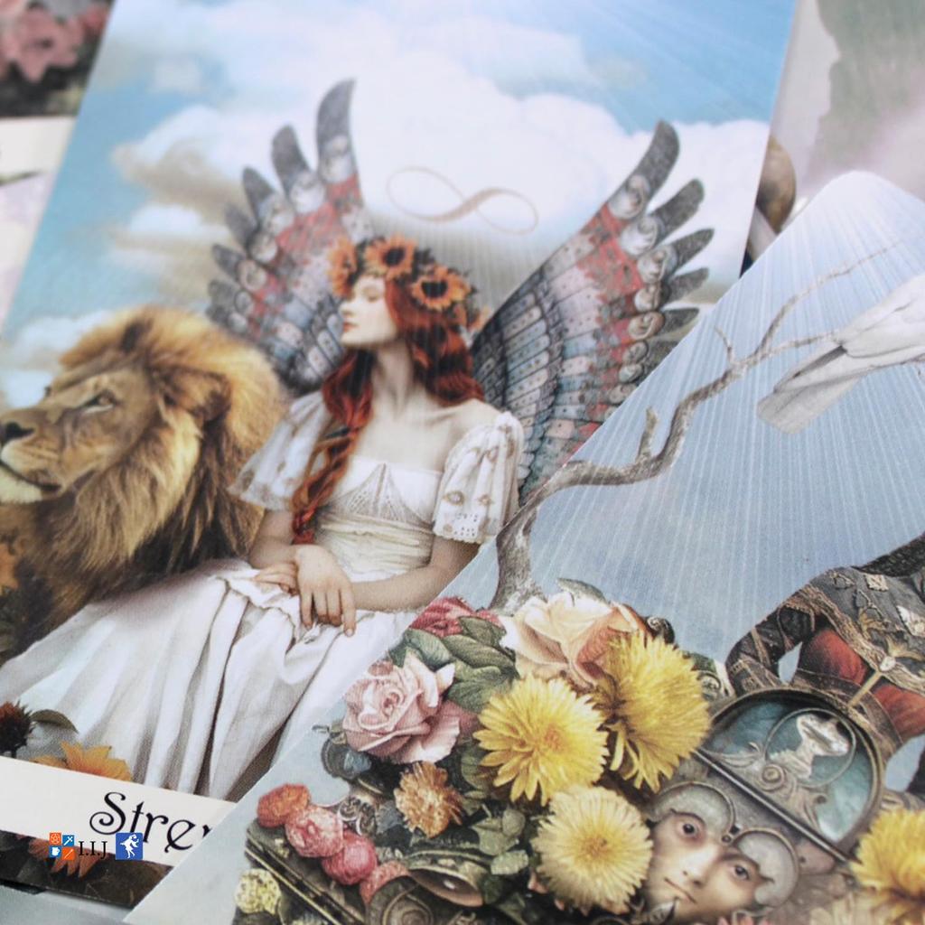 I.I.J Magical Hours Tarot, Waite Edition, 78 Cards, Tarot Reading, with Japanese Instructions, Authentic