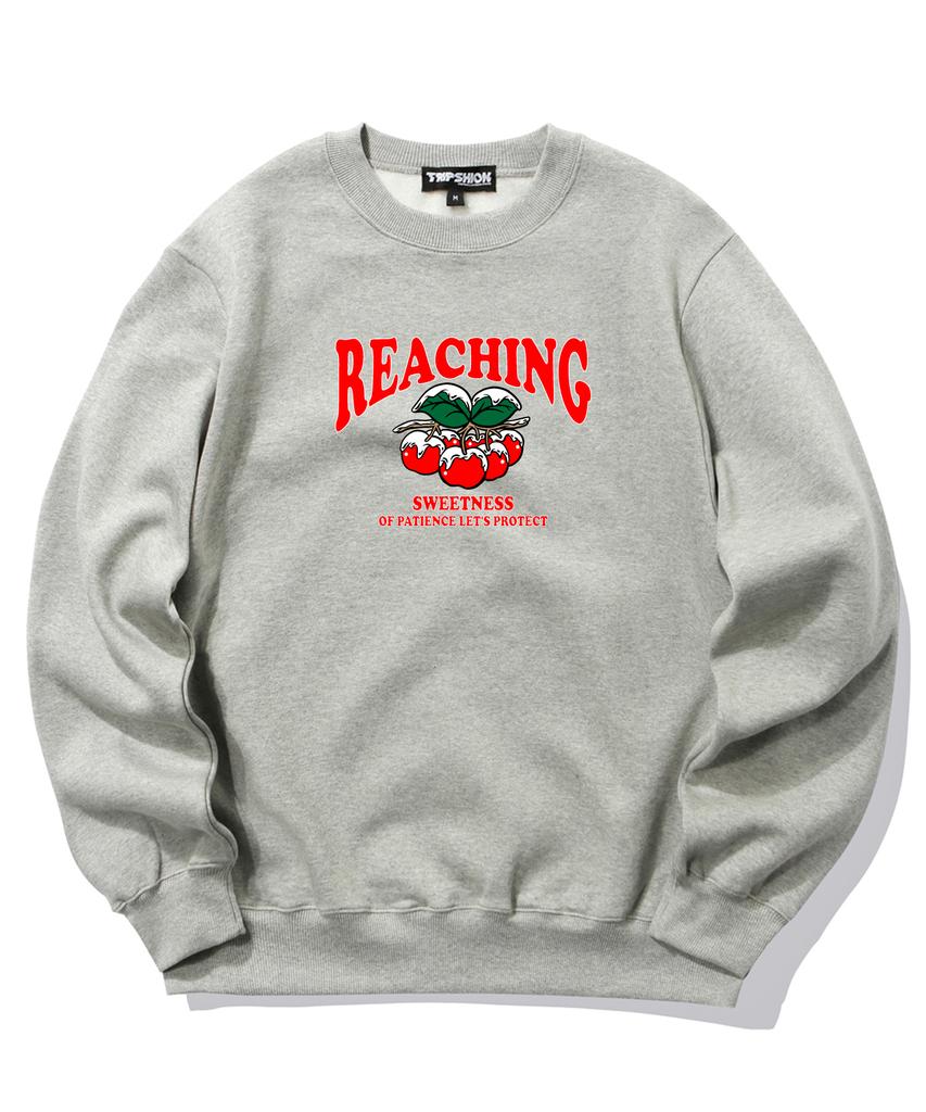 TRIPSHION Snowy Cherry Graphic Crew Neck - Gray