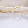 Gold & Silver Rhinestone Zirconia Hoop Earrings for Women - Luxurious, Versatile, Exaggerated Circle Design