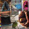 Warm Bird Parrot Nest Soft Plush Bird Parrot Hammock Warm Hanging Bed For Pet Cave Cage Hut Tent Toy House for Small Animals