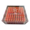 Zhonghaisen Transparent 10x10 Ammo Storage Box