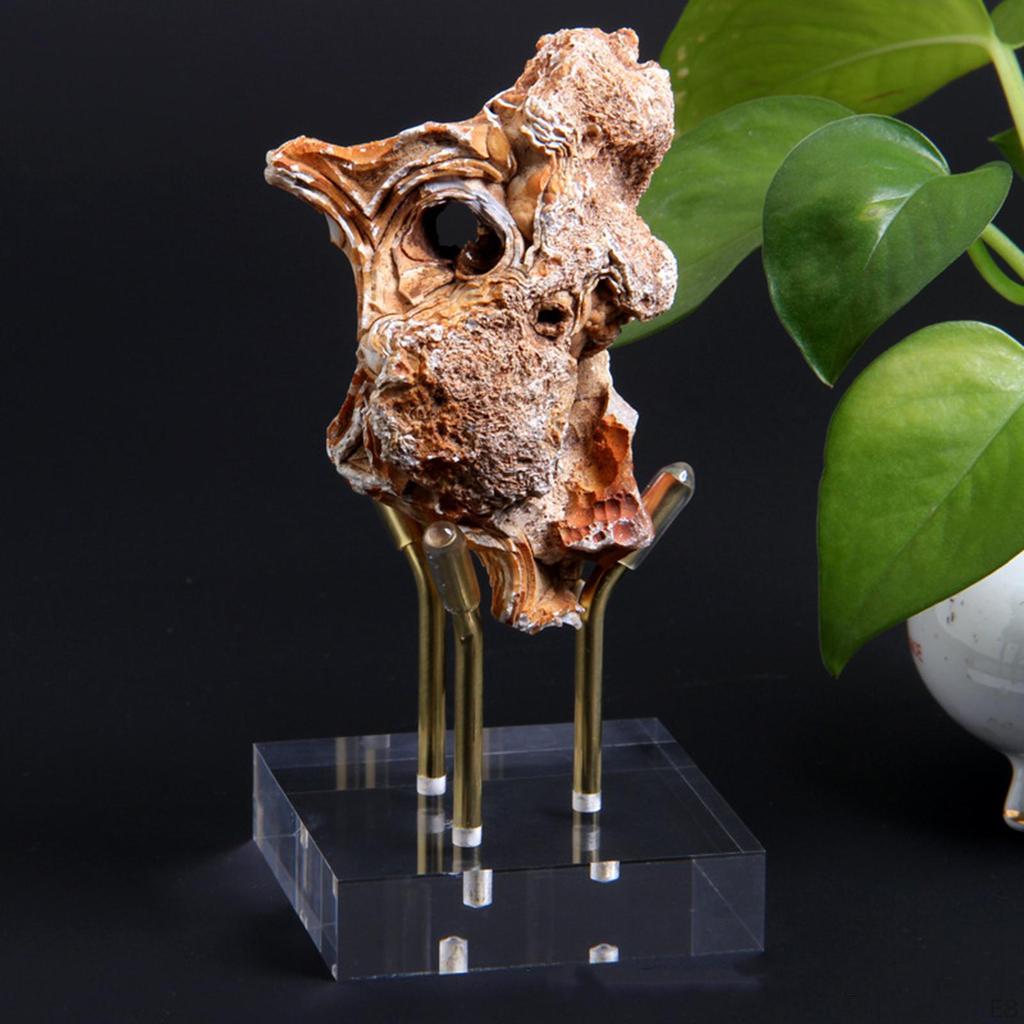 Display Easel Stand Rack Collectibles Metal Arm Crystal Mineral Acrylic Holder for Agate