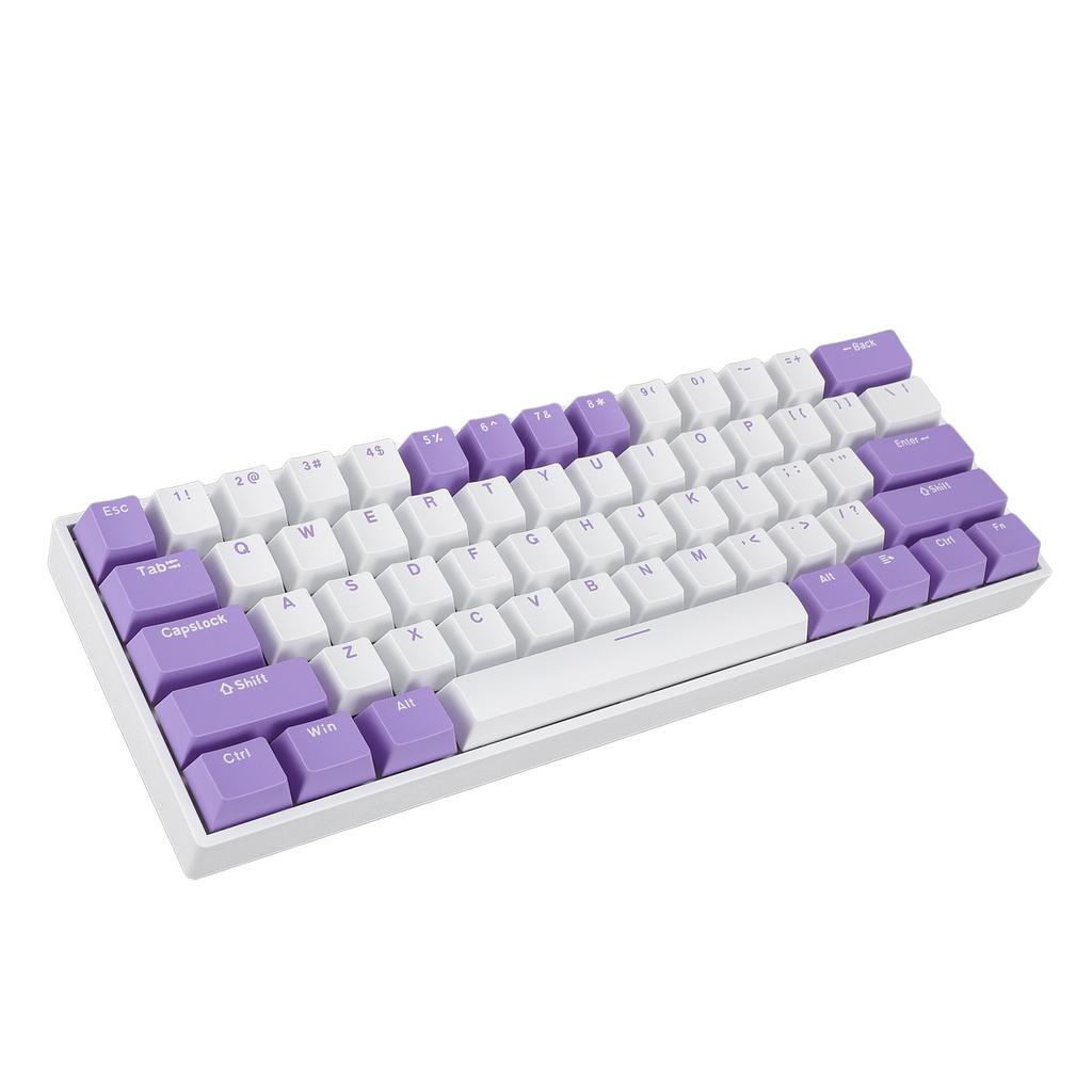 61 Keys 60% Mechanical Keyboard USB C Wired RGB Lighting Backlit Red Switch Gaming Keyboard for PC L