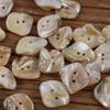 10pcs/set Irregular Shape Natural Shell Buttons with Two Holes for DIY, Clothing Accessories, Etc