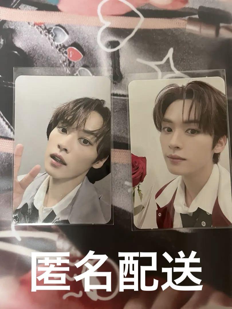 

[USED] Stray Kids Lee Know Bouquet