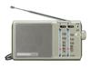 Panasonic FM-AM 2-Band Receiver RF-U155-S