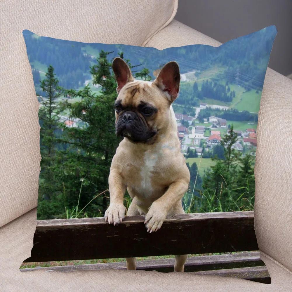 Cute Pet Mini French Bulldog Throw Pillow Cover With Short Plush Print Living Room Sofa Decoration Cushion Cover Pillow Covers