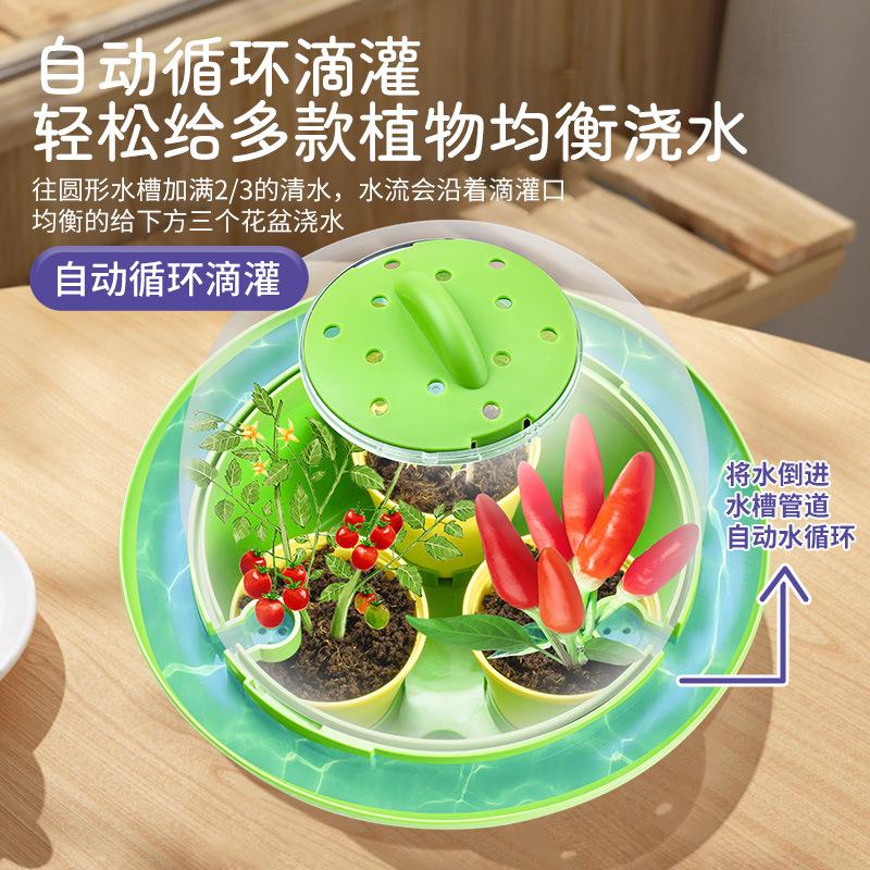 Space Planting Cabin Children's Scientific Experiment Suit Vegetable Plant Growth Hydroponic Greenhouse Cultivation Toys