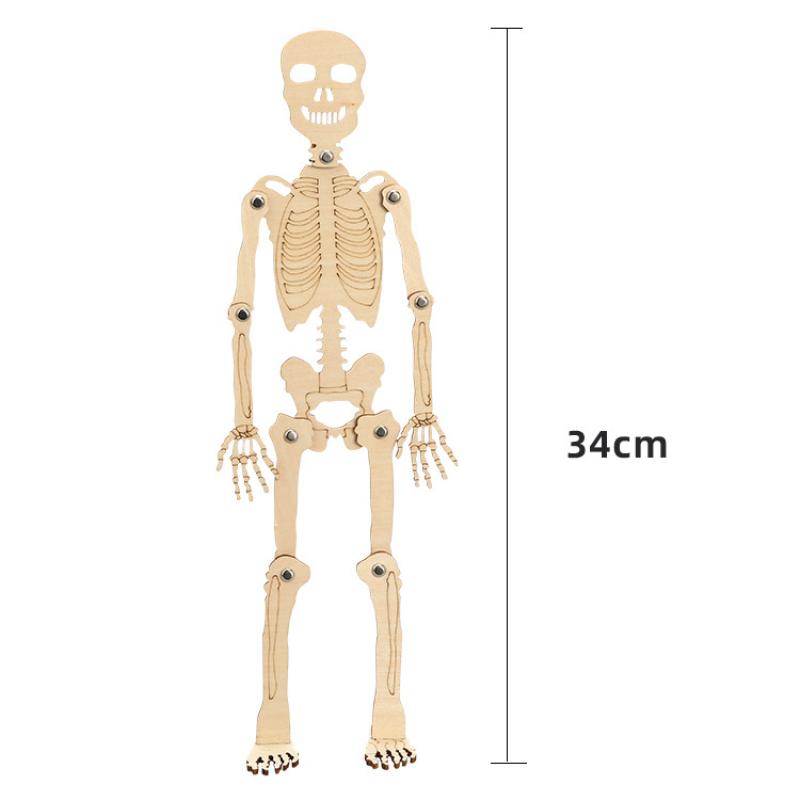 Menschliches Skelettmodell DIY-Technologie Kleines Skelett Montage Lehrmittel Kinderpuzzle Handgefertigtes Materialpaket