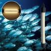 Underwater Light Luminescent Waterproof LED High Efficiency Lure Fish Fishing Accessories Mini