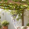 Windspiele, mit funkelndem Kristallanhänger, einfach aufzuhängender dekorativer Sonnenfänger-Windspiel, für Haus Garten Balkon Fenster Dekoration