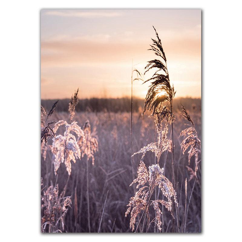 

Песок Пейзаж Трава Декорации Искусство Холст Картина Жизнь Навсегда Цитата Украшение Комнаты Картина Растение Природа Настенный Плакат FJ027 50x70cm no frame