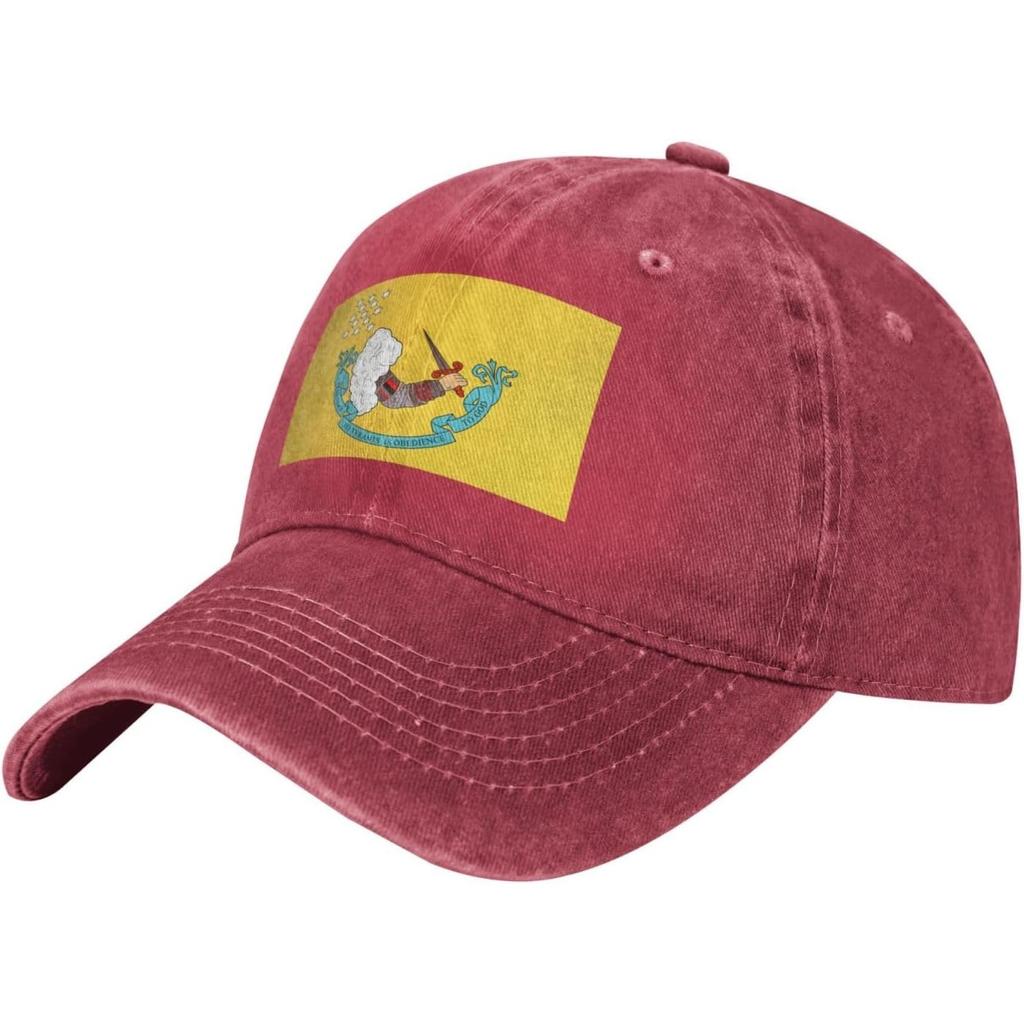 Resistance to Tyrants Flag Washed Cotton Baseball Cap Adjustable Outdoor Dad Hat Unisex