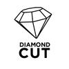 Diamond grinding disc 125 x 22.2 x 5 mm, segment C
