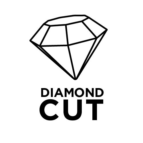 Diamond grinding disc 125 x 22.2 x 5 mm, segment C