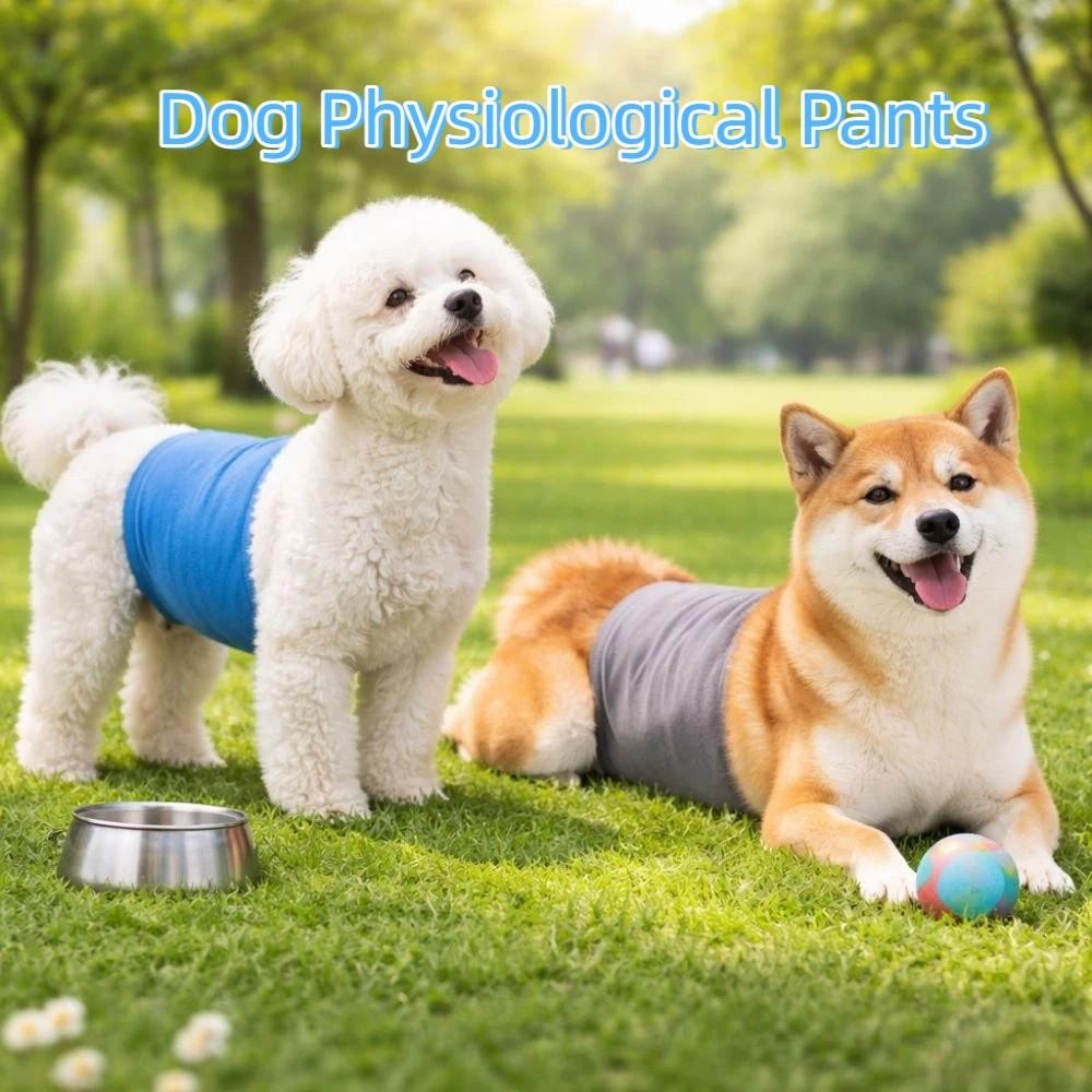 Breathable Dog Physiological Pants Washable Leak-proof Male Dog Diapers High Absorbing Comfortable Pet Underwear Anti Estrus