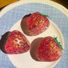 Clear Glitter Strawberry Squeeze Toy Slow Rebound Stress Relief Simulated Fruit Fidget Toy Anti-anxiety Sensory Ball Decompression